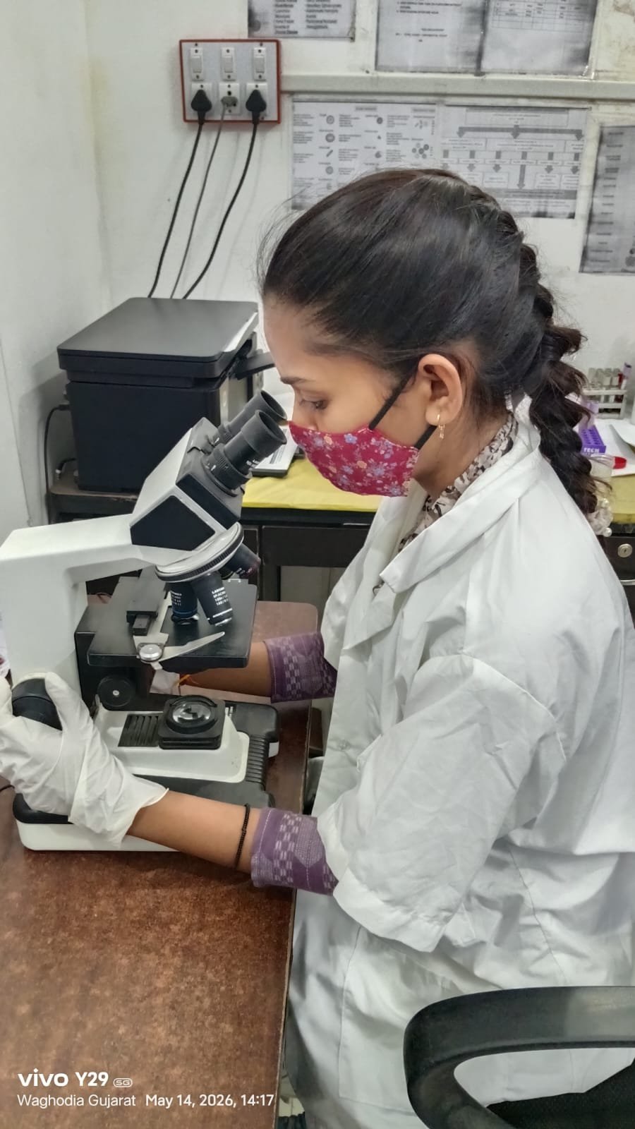 Female lab specialist examining sample slides — Sun Pathology women's health screening